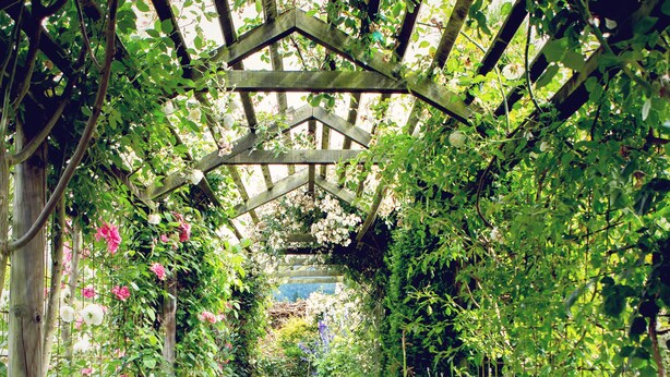 Property grounds - Marchmont Gardens (Hanmer Springs)