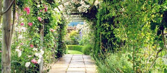 Marchmont Gardens