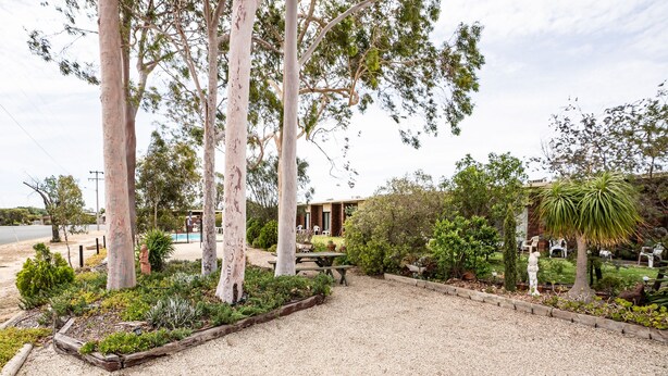 A landscaped outdoor area with a gravel path, a wooden bench, and various plants and trees.