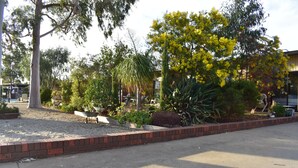 A landscaped garden with various plants and a brick border along a paved path.