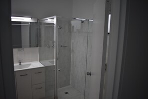 Chuveiro, secador de cabelo, toalhas de banho 