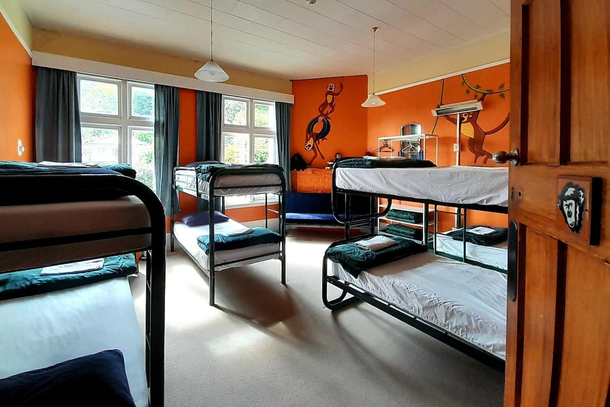 Standard Shared Dormitory, Mixed Dorm, Non Smoking, Shared Bathroom (Bed in 8-bed Shared room) | Dihias secara berasingan, seterika/papan seterika, Wi-fi percuma