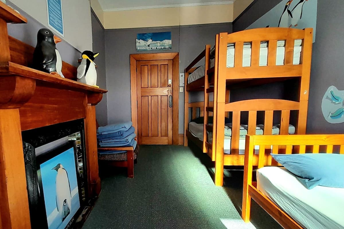 Standard Shared Dormitory, Mixed Dorm, Non Smoking, Shared Bathroom (Bed in 5-6bed Shared room) | Dihias secara berasingan, seterika/papan seterika, Wi-fi percuma