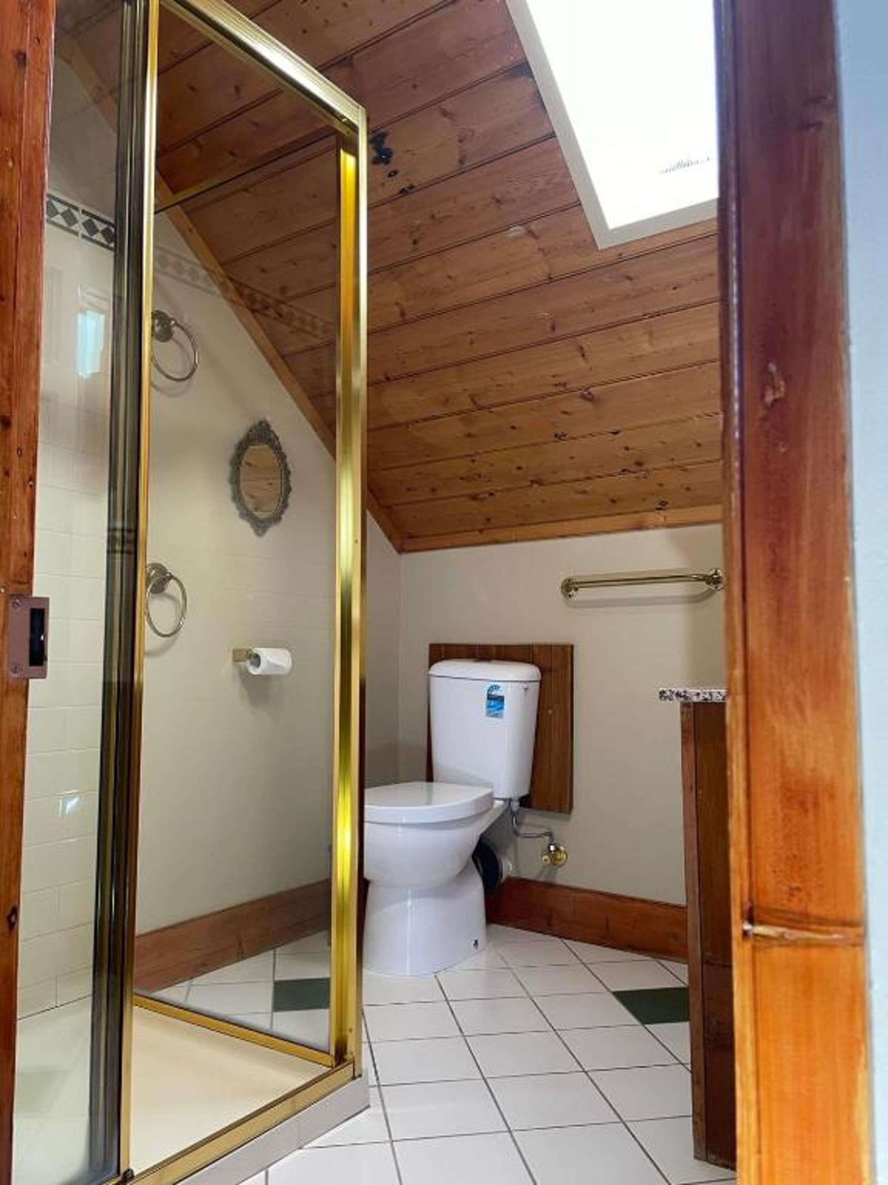 A small, private bathroom with a toilet, a shower area, and a skylight.