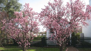 A garden with blooming pink trees and a brick pathway. - Sorell Barracks (Sorell)