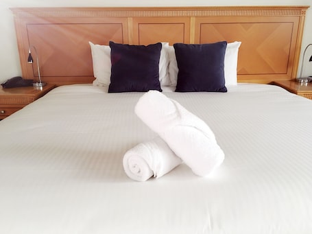 Executive Suite, 1 Bedroom, Non Smoking | Desk, iron/ironing board, free WiFi, bed sheets. Apollo Motel Biloela