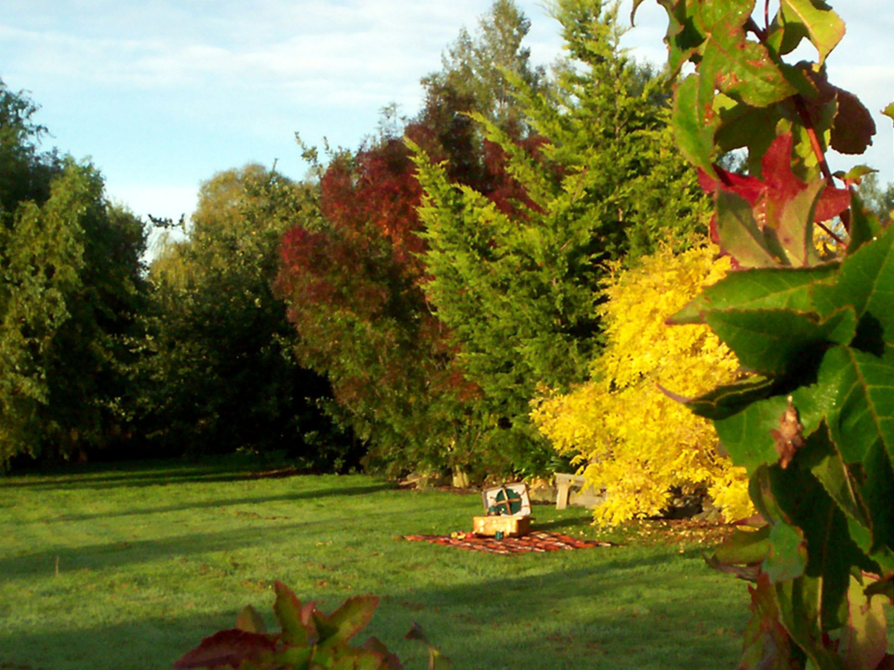 A grassy area with a small wooden structure, surrounded by trees with autumn foliage.