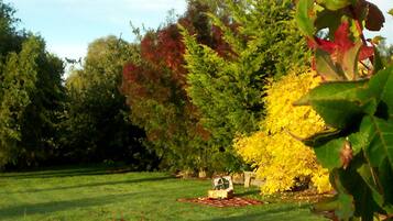 A grassy area with a small wooden structure, surrounded by trees with autumn foliage.