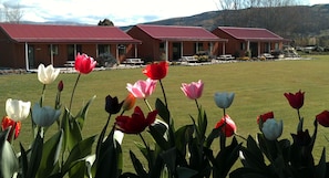 Garden - Longbourne Lodge (Mosgiel)