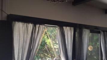 Pemandangan dari properti