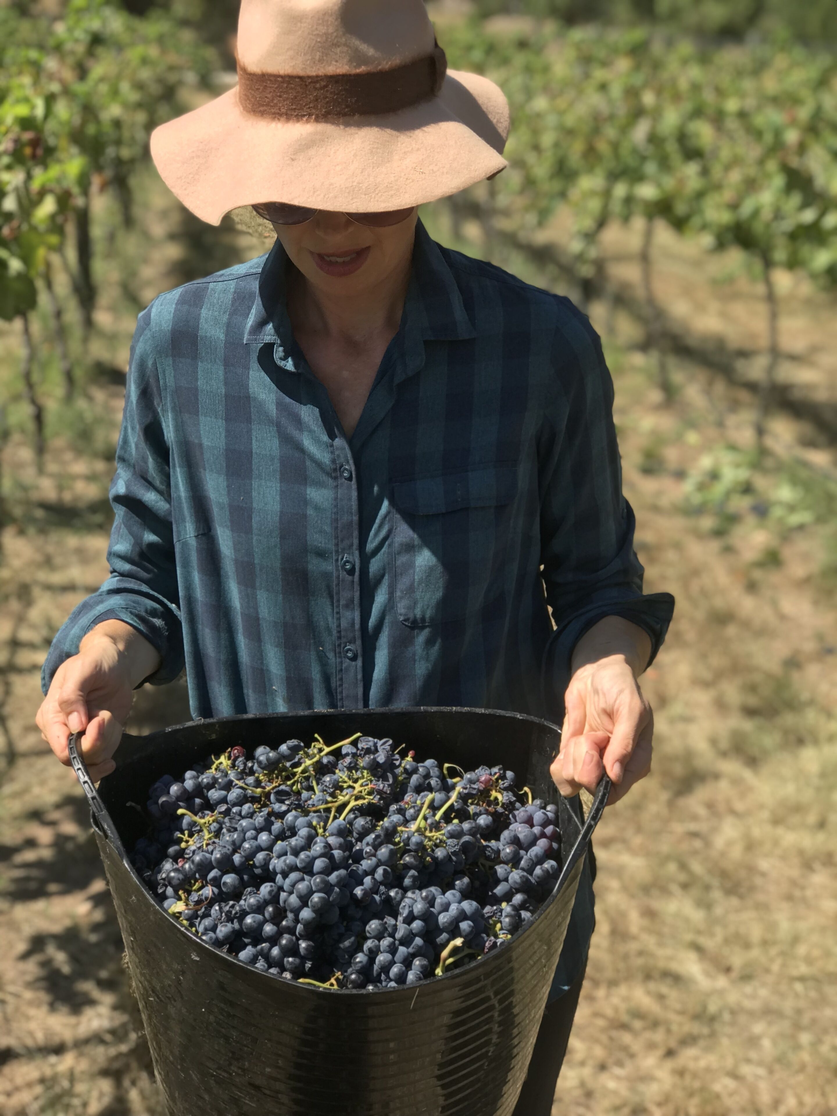 A person holding a black basket filled with dark purple grapes.