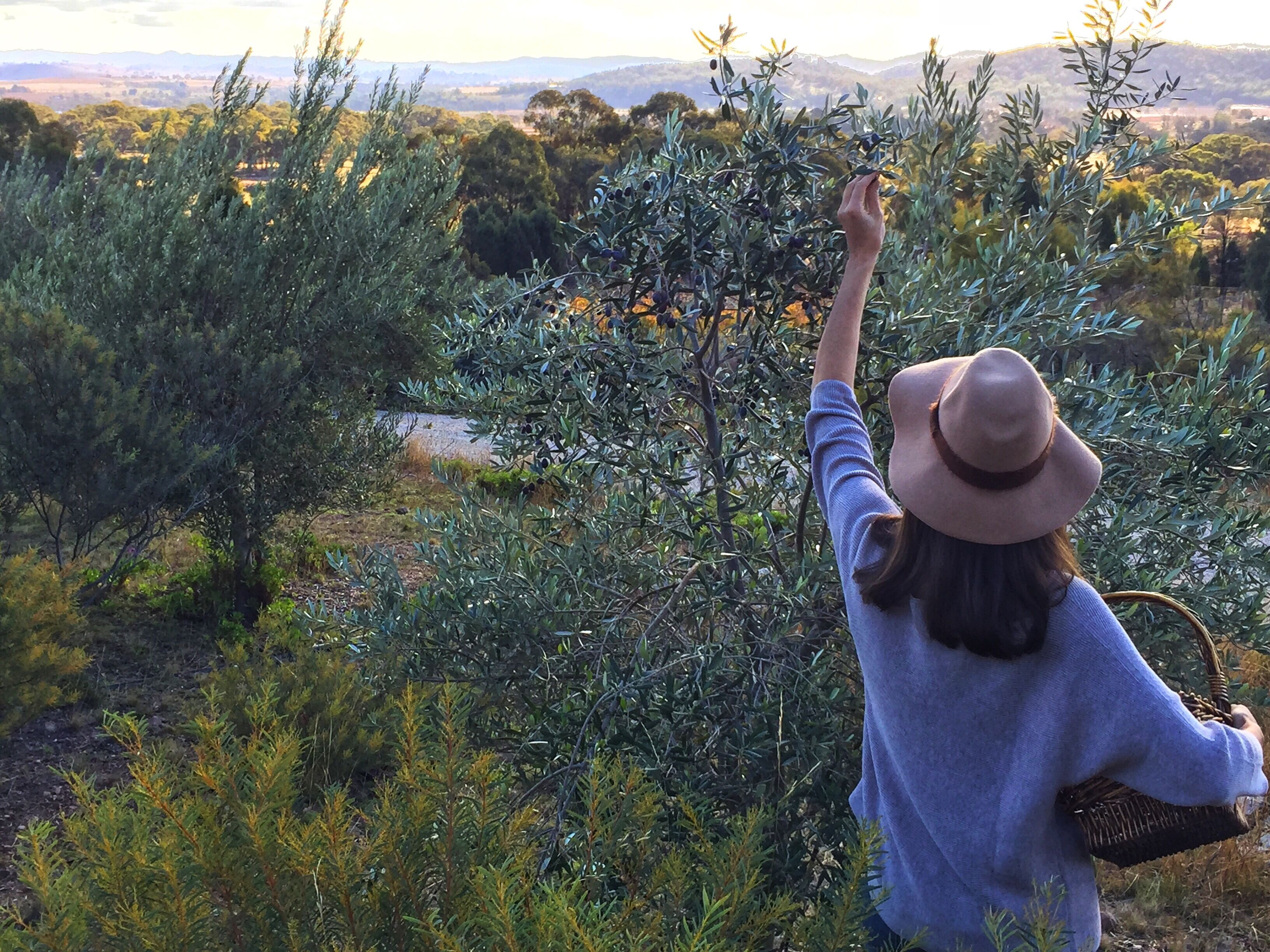 Une personne portant un chapeau et un pull tend la main vers un arbre dans un environnement naturel.