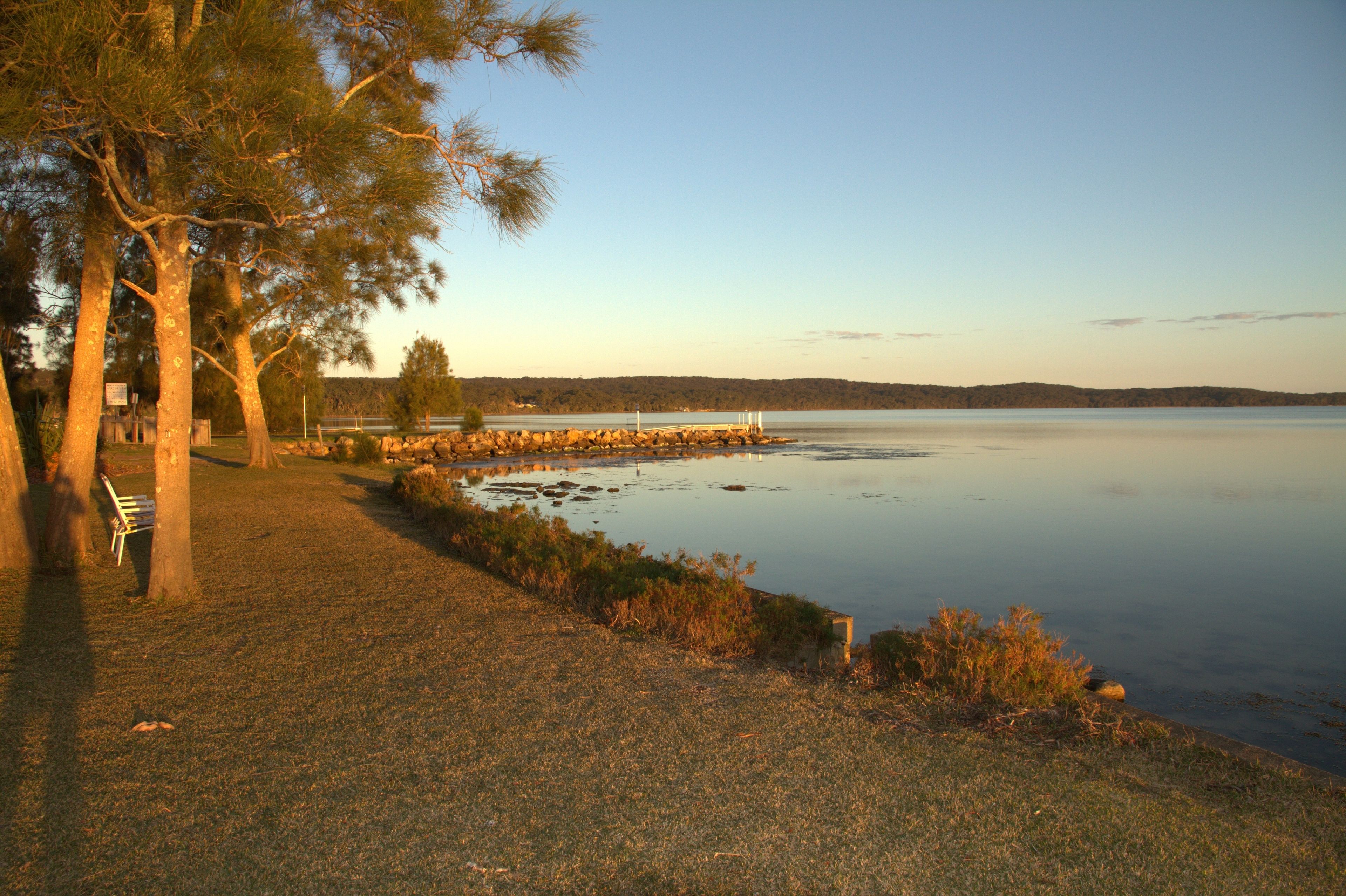 A lakeside park with trees, a bench, and a calm water body.