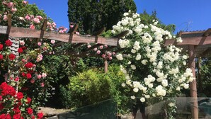 A garden with various flowering plants and a wooden pergola structure. - Bluebell Lodge And Cottage (Hastings)