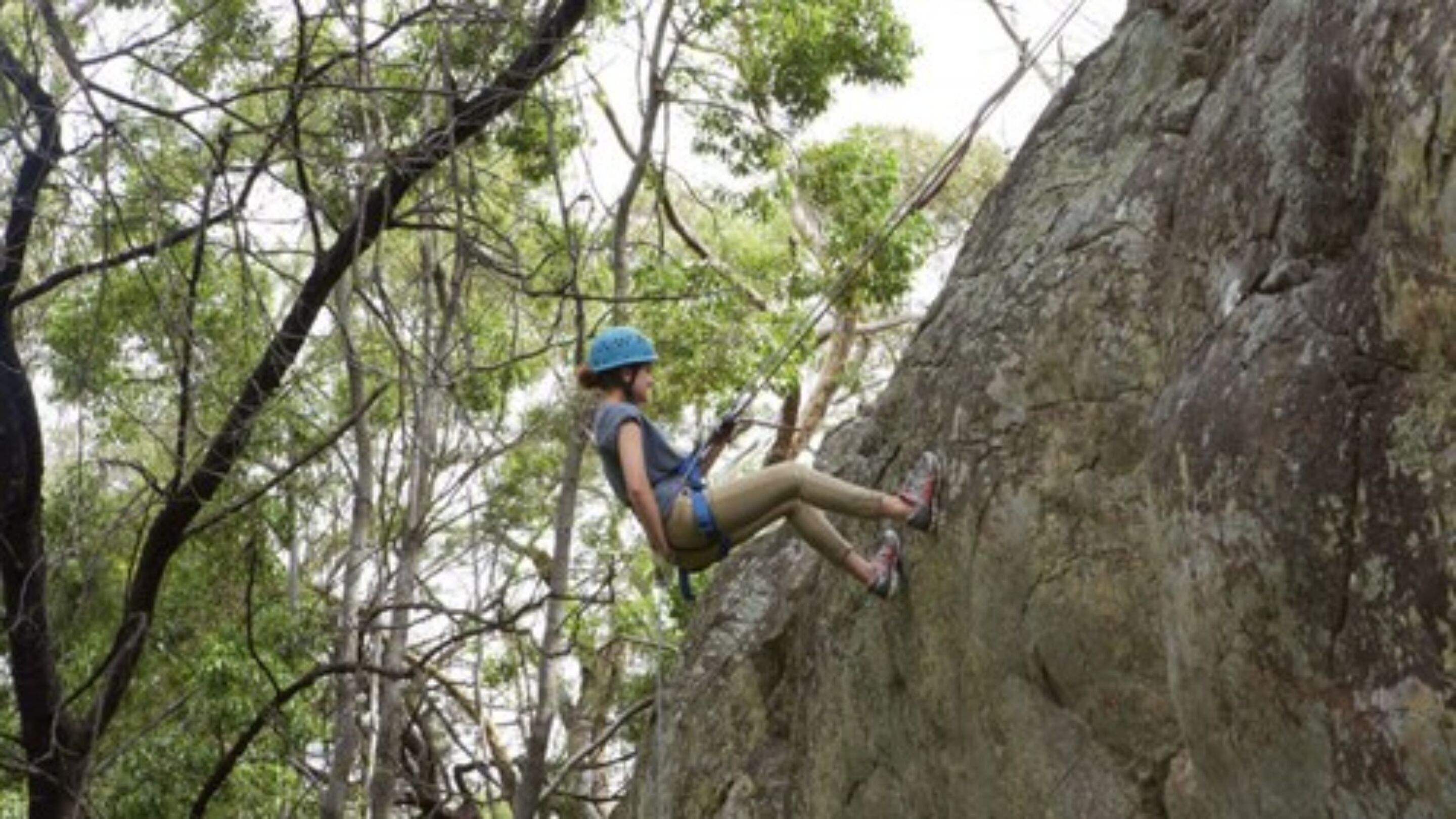 A person rock climbing on a tree trunk in a forested area.