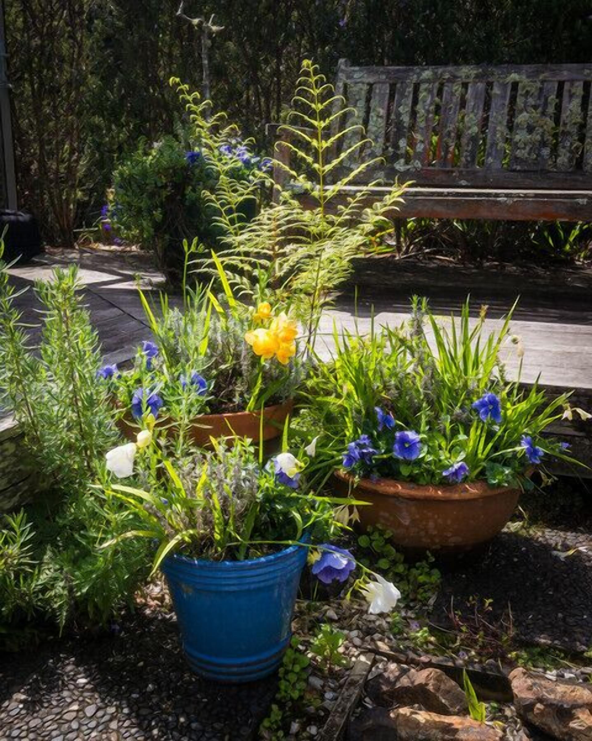 Standard Apartment, Patio (One) | Terrace/patio