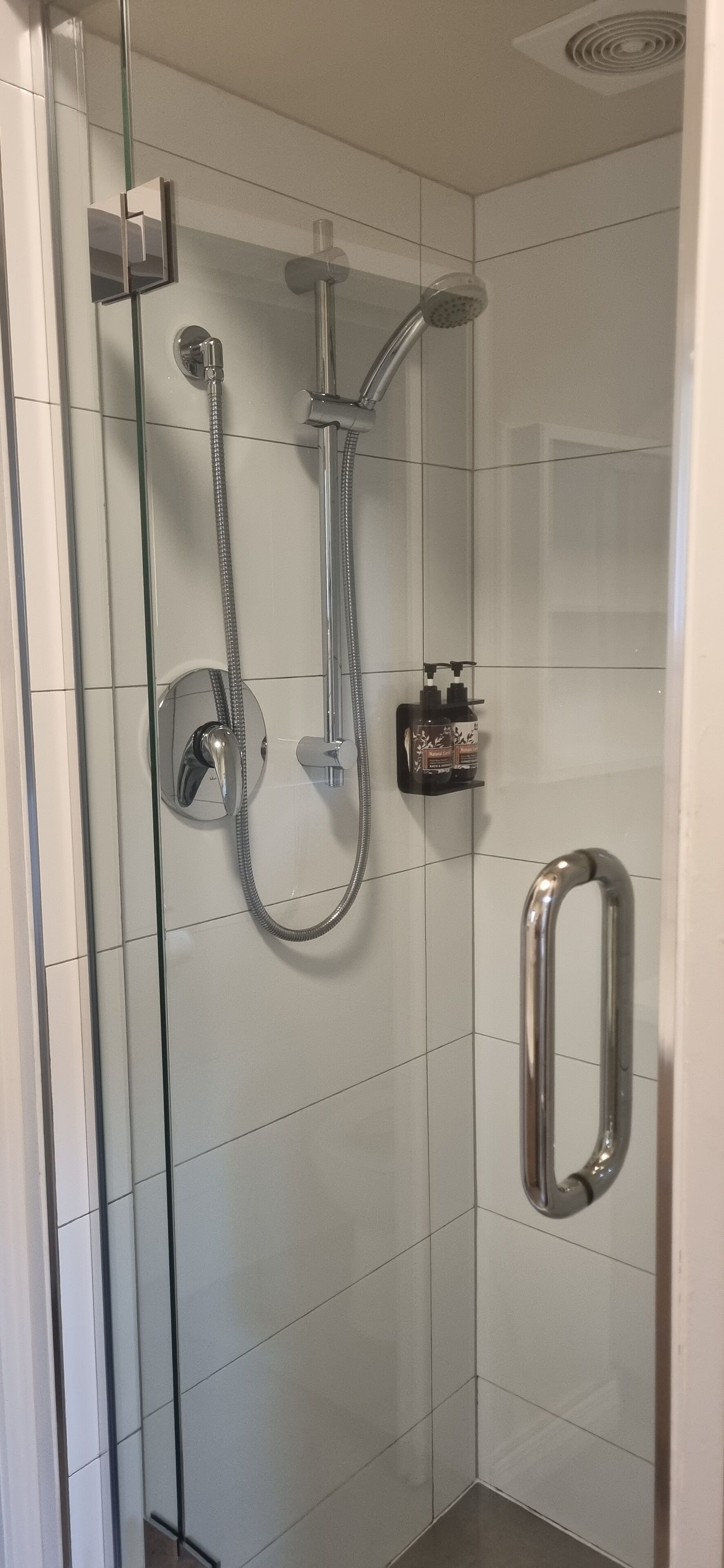 Une cabine de douche fermée par des parois en verre, équipée d’un pommeau de douche à main, d’un flexible de douche et d’un distributeur de savon.