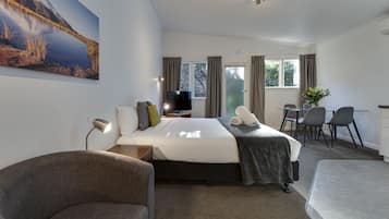 1 chambre, couette en duvet d'oie, fer et planche Ă  repasser