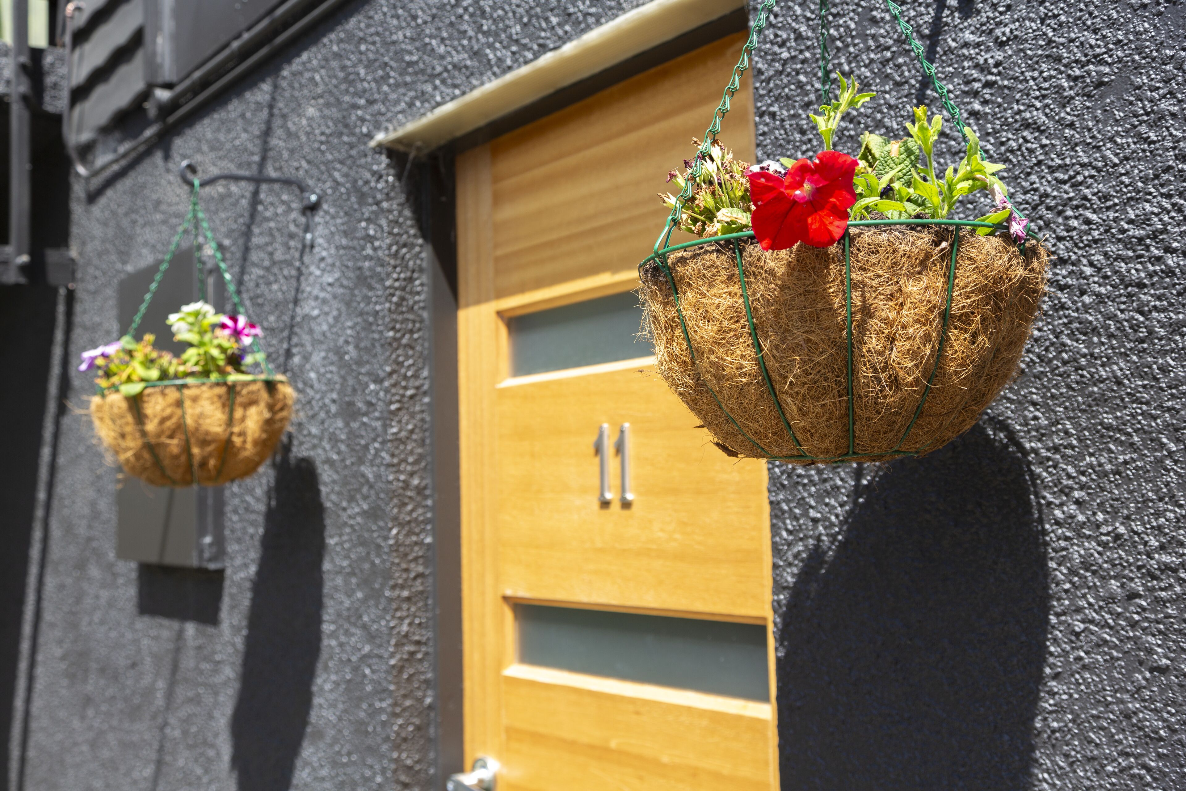 Deux paniers à fleurs suspendus, ornés de plantes et de fleurs, sont accrochés à un mur texturé devant une porte en bois.
