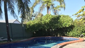 A swimming pool with a curved stone edge, surrounded by a concrete deck and lush greenery.