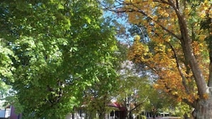 Exterieur
