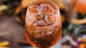 A close-up of a glass with a beverage, surrounded by food items like fries and lemon slices. - Harp Hotel (Wollongong)