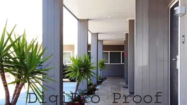 A modern hallway with a clean, minimalist design, featuring a series of columns and a pathway lined with small plants. - Auckland Phoenix Palm (Auckland)