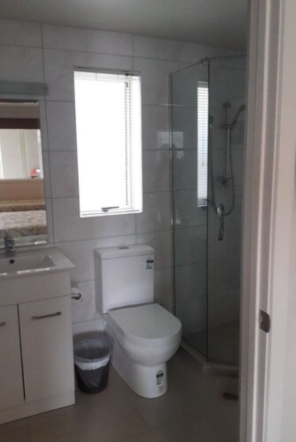 A compact bathroom with a toilet, sink, and glass shower enclosure.