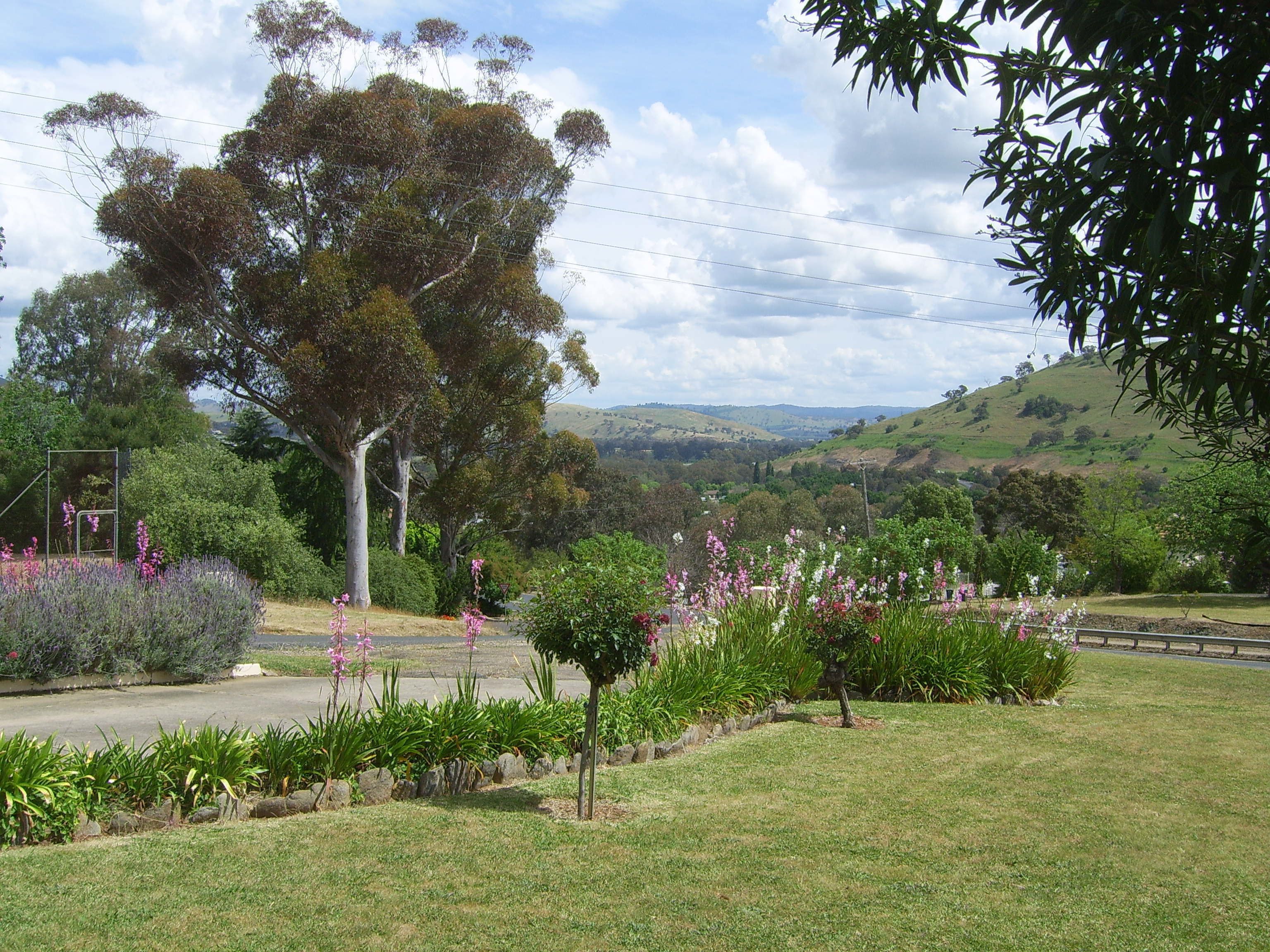 A landscaped garden with a variety of plants and flowers, a large tree, and a view of rolling hills in the background.