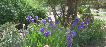 花园城市汽车旅馆