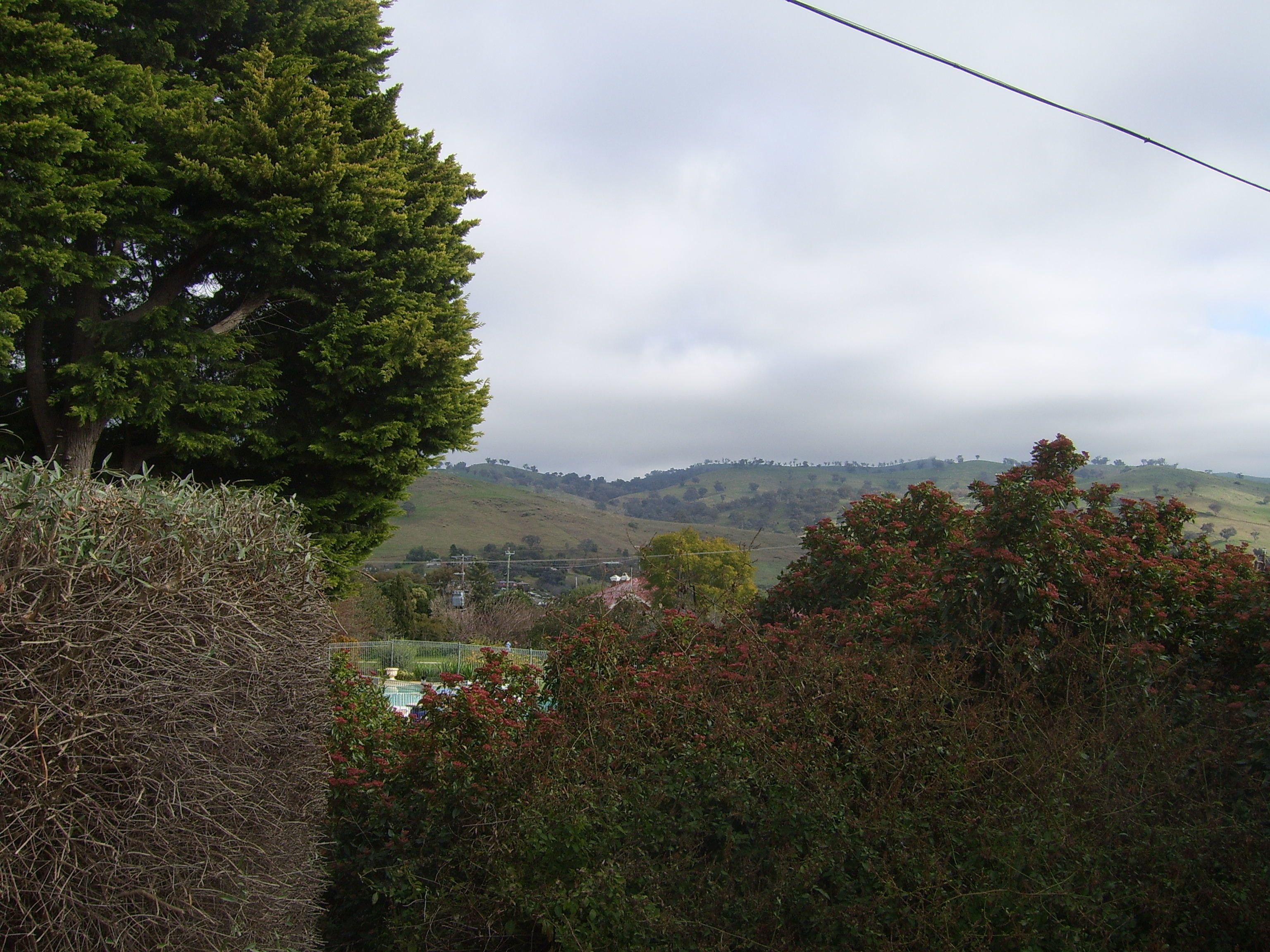 A view of a hilly landscape with a large tree in the foreground, a fence, and a distant view of a town.