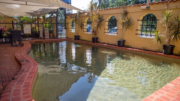 An indoor swimming pool with a tiled border, surrounded by potted plants and a brick pathway. - Adobe Motel (Cairns North)