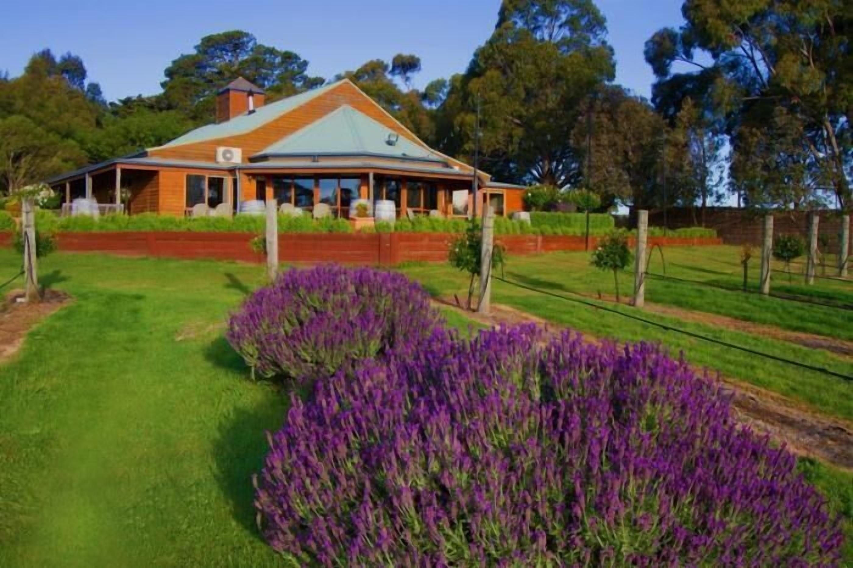 Une grande maison de plain-pied, dotée d’une cheminée imposante, entourée de pelouses bien entretenues et d’un champ de fleurs violettes.