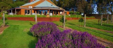 A large, single-story house with a prominent chimney, surrounded by well-maintained lawns and a field of purple flowers.