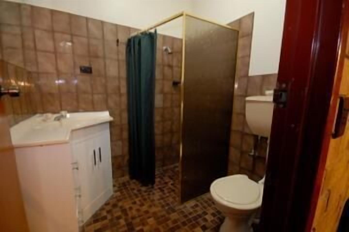 Combined shower/bathtub, hair dryer, towels