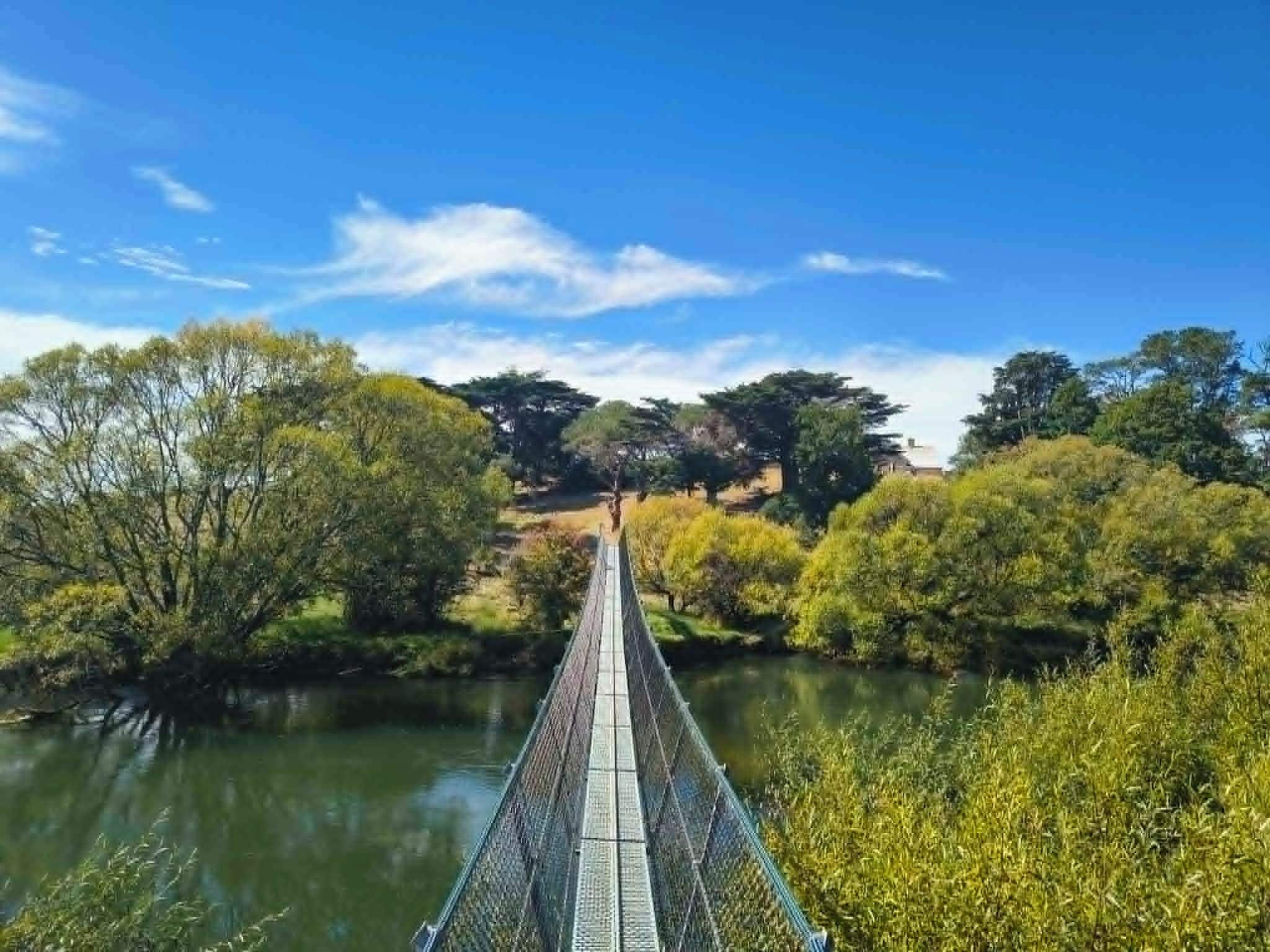 A suspension bridge over a river with dense foliage on both sides.