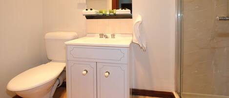 A bathroom with a toilet, a sink with a mirror, and a shower area.