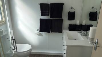A bathroom with a toilet, a sink, and a mirror.