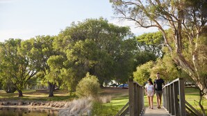 A wooden bridge over a pond with trees and grass on either side. - RAC Busselton Holiday Park (Abbey)