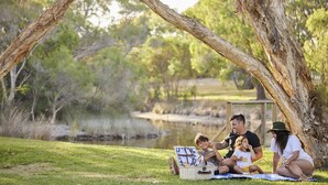 A family picnic under a tree with a picnic basket and a blanket on the grass. - RAC Busselton Holiday Park (Abbey)