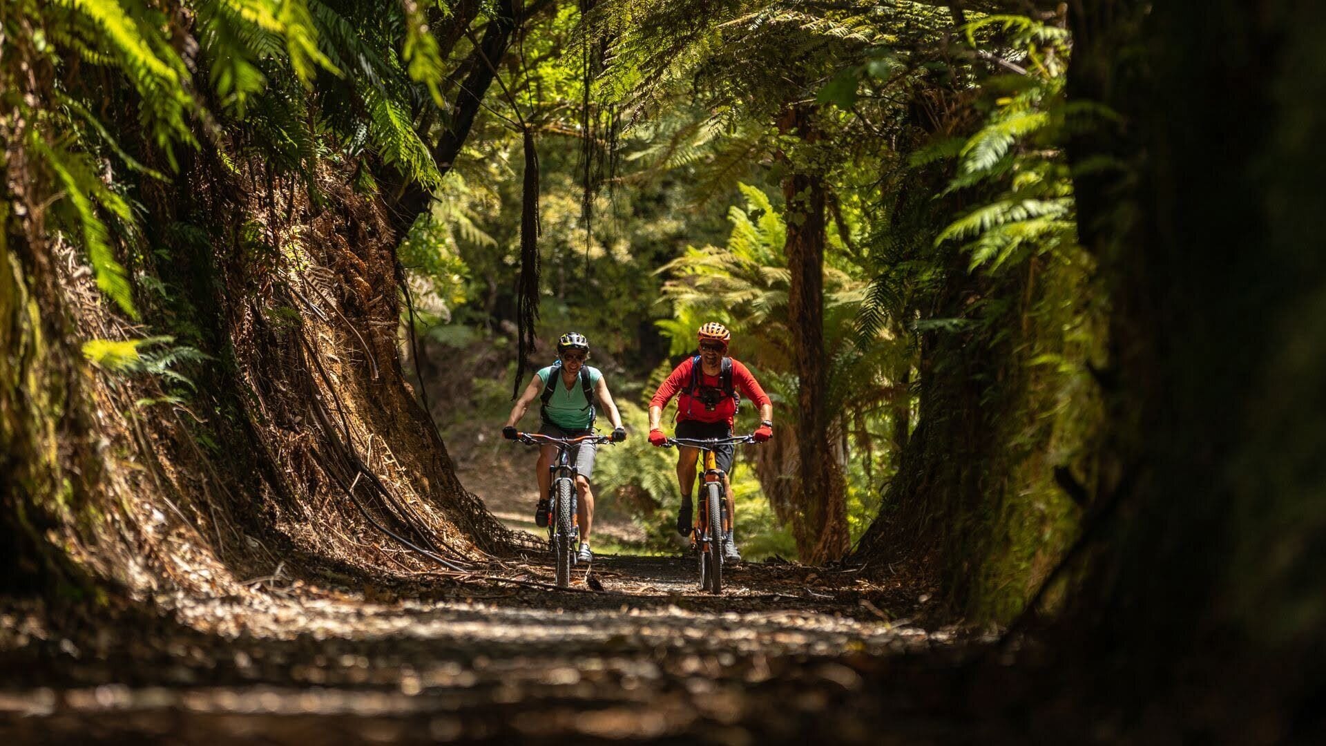 Two cyclists on a forest trail surrounded by dense foliage.