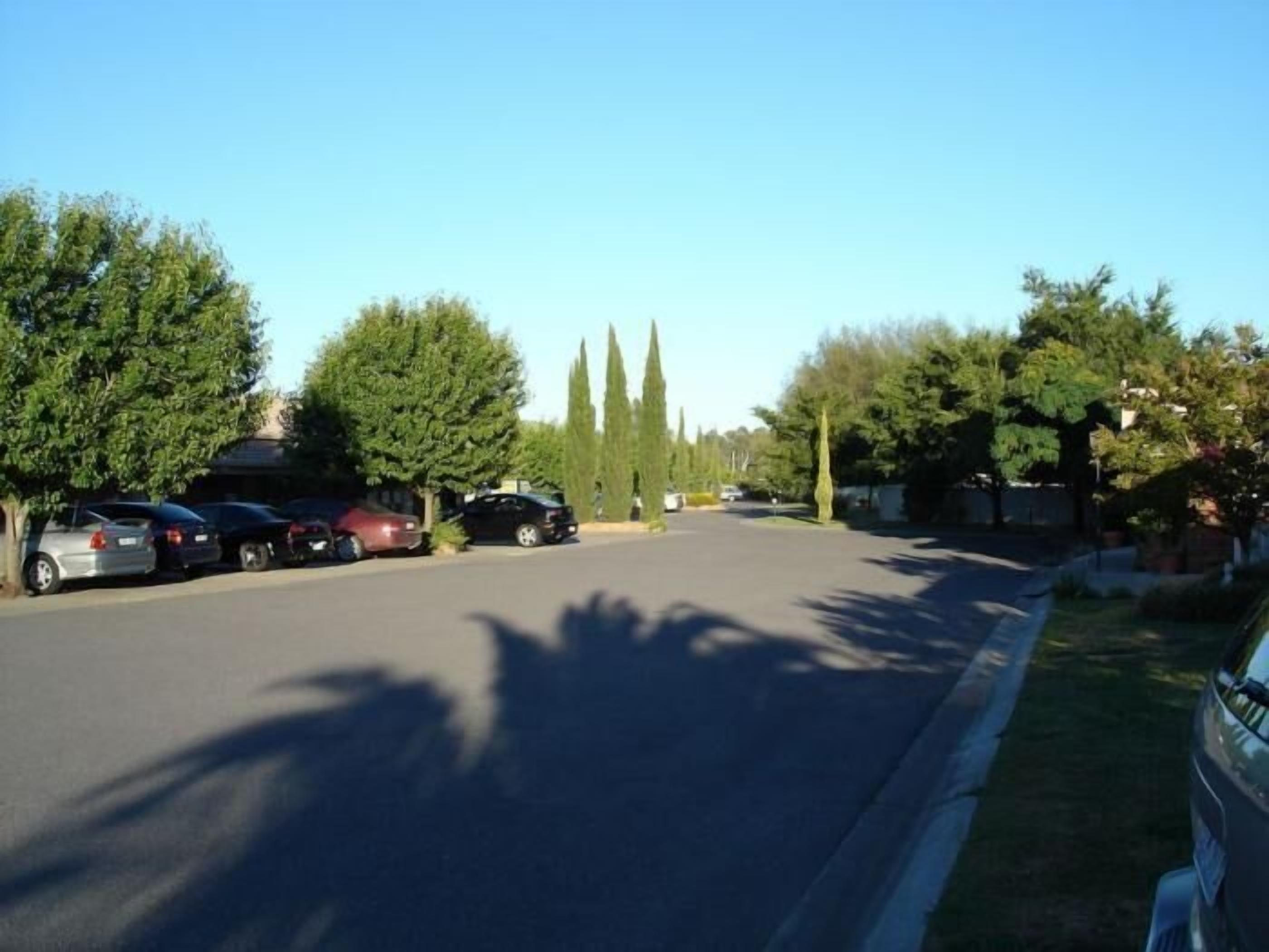 A street with parked cars and trees.