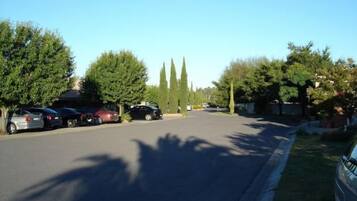 A street with parked cars and trees.