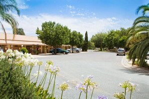 Property grounds - Paradise Lakes Motel (Kialla)