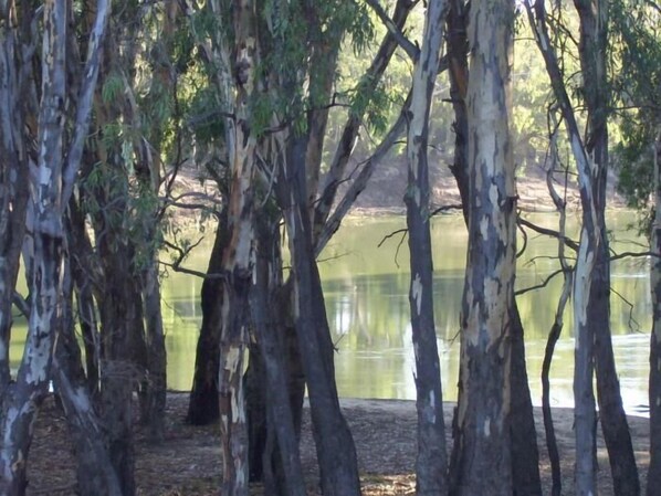 Un paysage naturel composé d’arbres et d’une étendue d’eau.