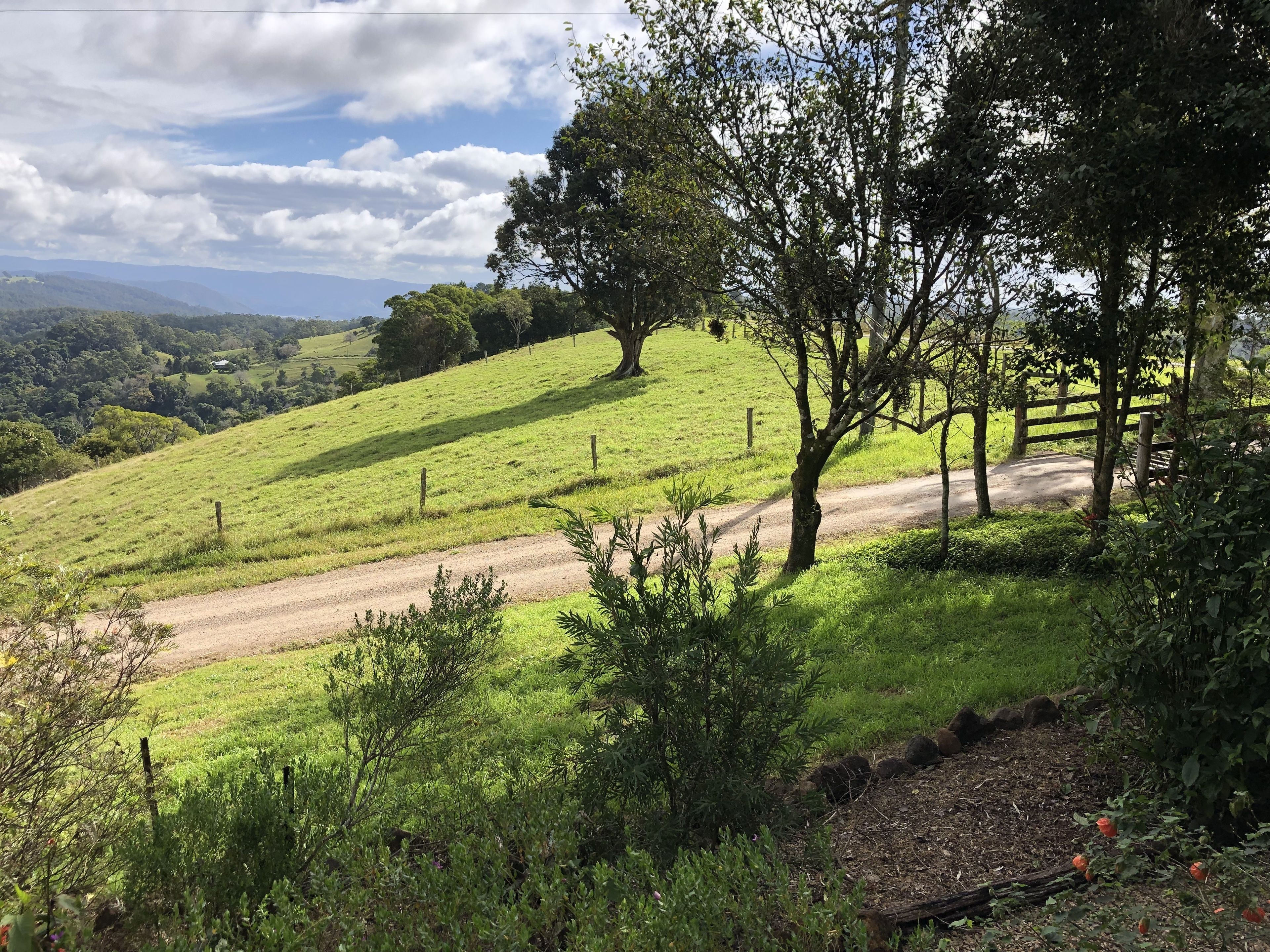 A rural landscape with a dirt road, green fields, and trees.
