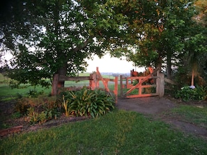 Front of property - Top Cottage at Maleny (Wootha)