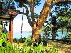 Troppo Lagoon Garden Villa | View from room