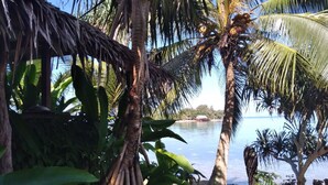 Una playa con palmeras y una vista despejada del océano.