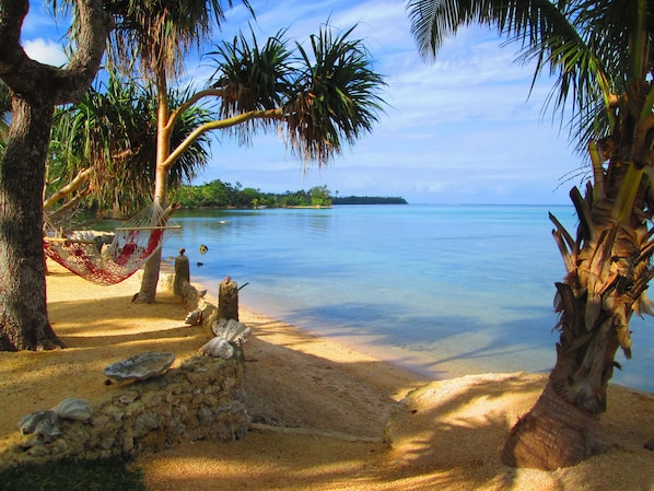 A beach with clear water, palm trees, and a hammock.
